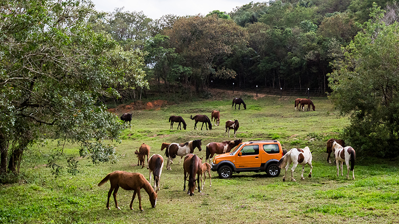 VeÃculo é prático para o trabalho no campo